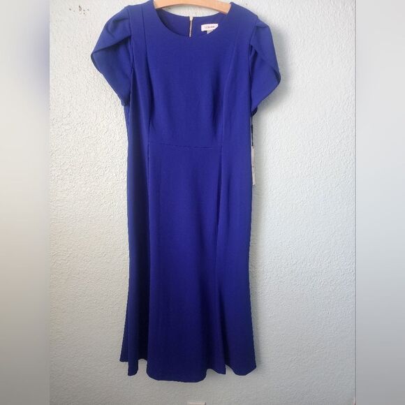 Calvin Klein Blue Midi Dress with Crew Neck and Flutter Sleeves - Picture 1 of 9